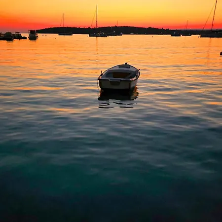 Ruzmarin Lovište