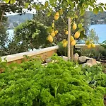 Ruzmarin Vila