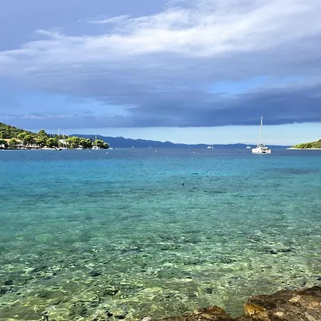 Ruzmarin Lovište