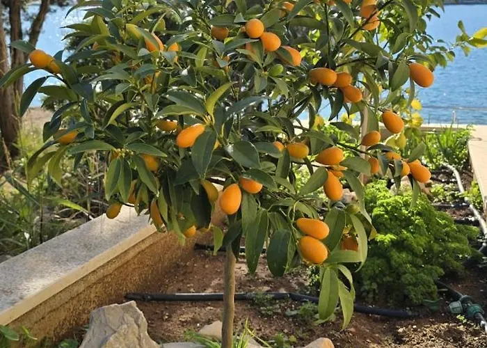 别墅 Ruzmarin Lovište